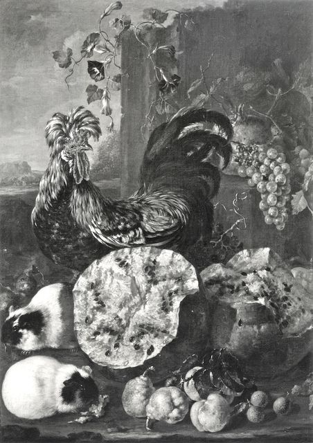 Anonimo — Navarra Pietro - sec. XVII/ XVIII - Natura morta con cocomero, uva, pere, melagrane, gallo e cavie — insieme